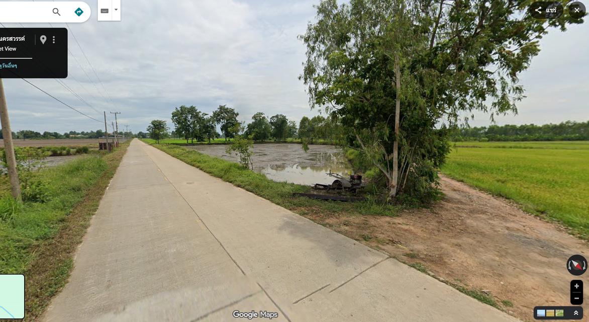 ที่ดินสวย 2 ไร่ 3 งาน สำหรับปลูกบ้านสวน มีไฟฟ้า ประปา ถนนคอนกรีต 6