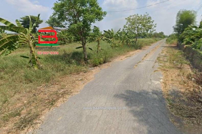 ที่ดินเปล่า (3 แปลง) หลังสถานีอนามัยบึงชำอ้อ คลองแปด เนื้อที่ 300 ตรว. ถนนรังสิต-นครนายก ตำบลบึงชำอ้อ อำเภอหนองเสือ จังหวัดปทุมธานี 4