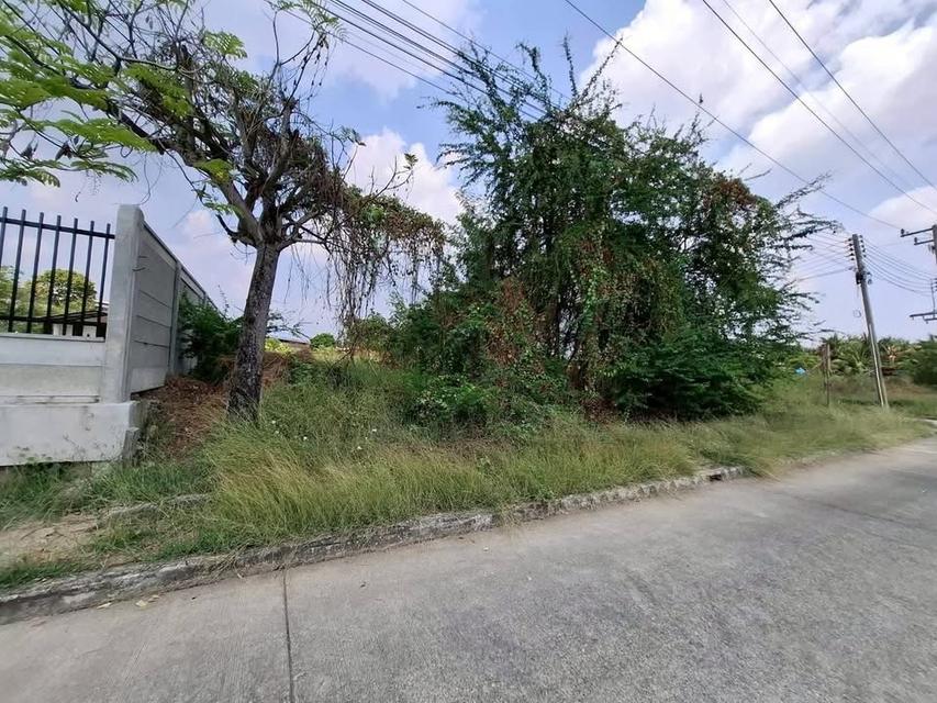 ขายด่วน ที่ดิน 198 ตารางวา ติดถนนคอนกรีต ถมแล้ว หมู่บ้านกฤษดานคร 26 นครชัยศรี นครปฐม 4