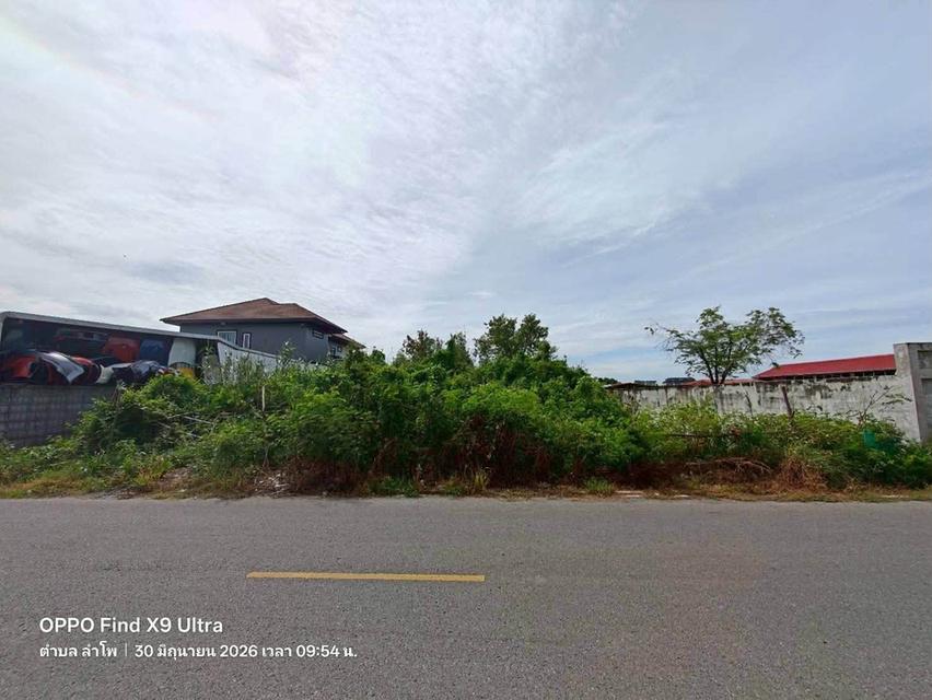 ขายด่วนที่ดิน 200 ตรว ติดถนนลาดยางสาธารณะ ลำโพ บางบัวทอง นนทบุรี 1