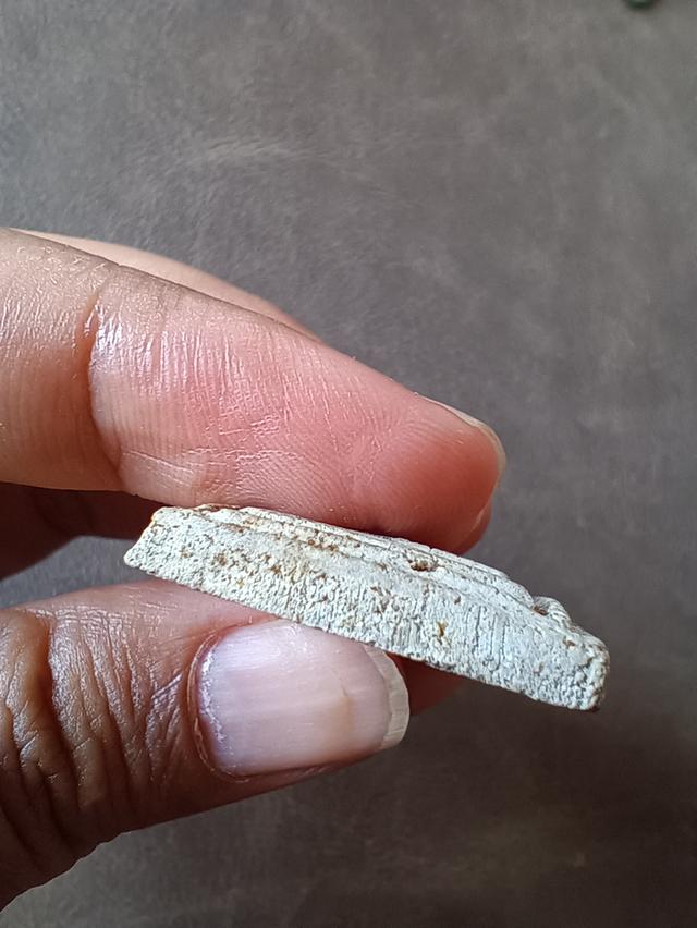 สมเด็จ หลวงพ่อเพชร2 วัดแสวงหา อ่างทอง 6