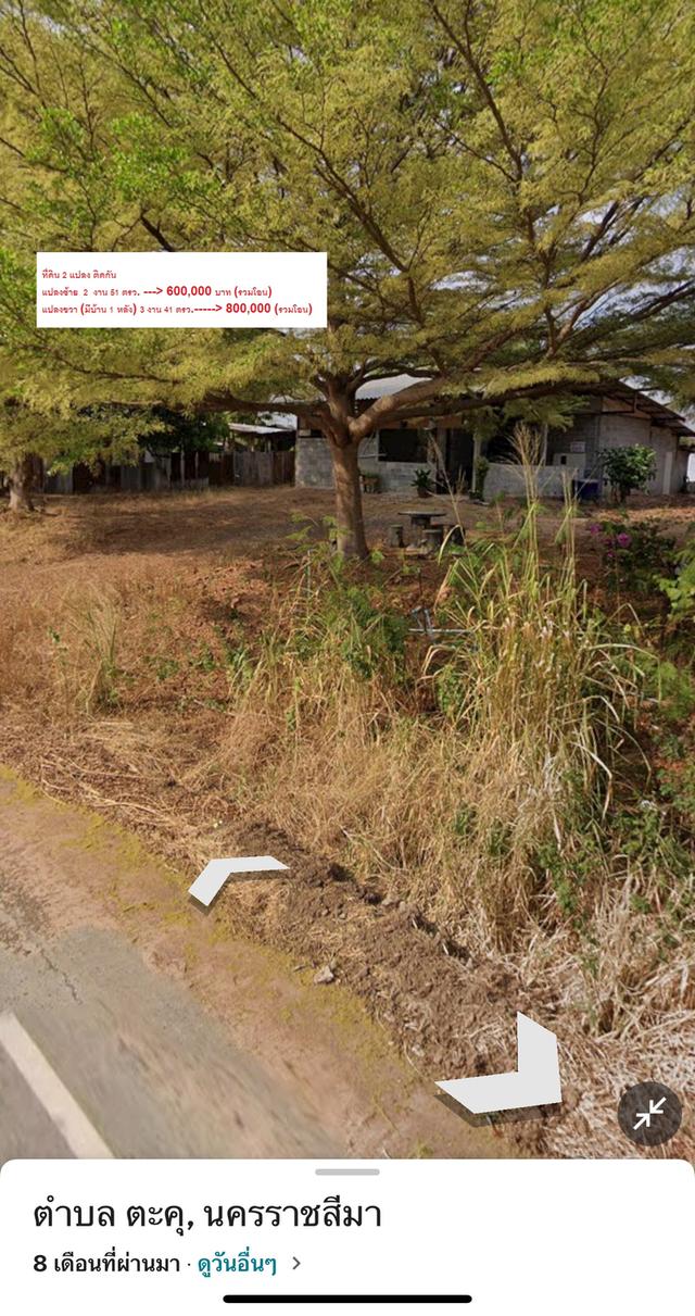 ขายที่ดิน-ปักธงชัย  โคราช 5