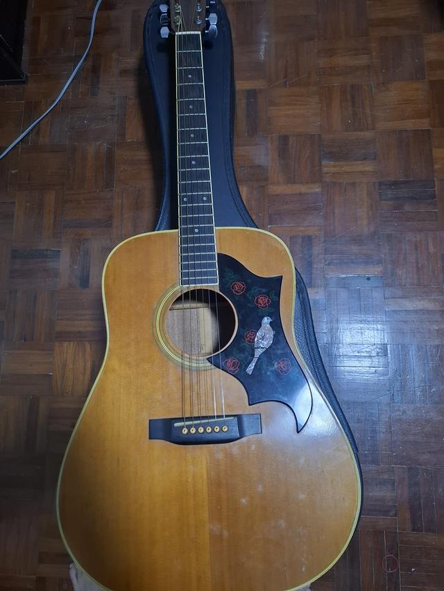 กีต้า vintage japan YAMKI YM-20
