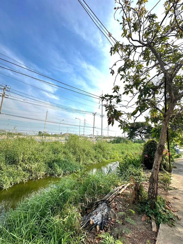 ขายที่ดิน  4