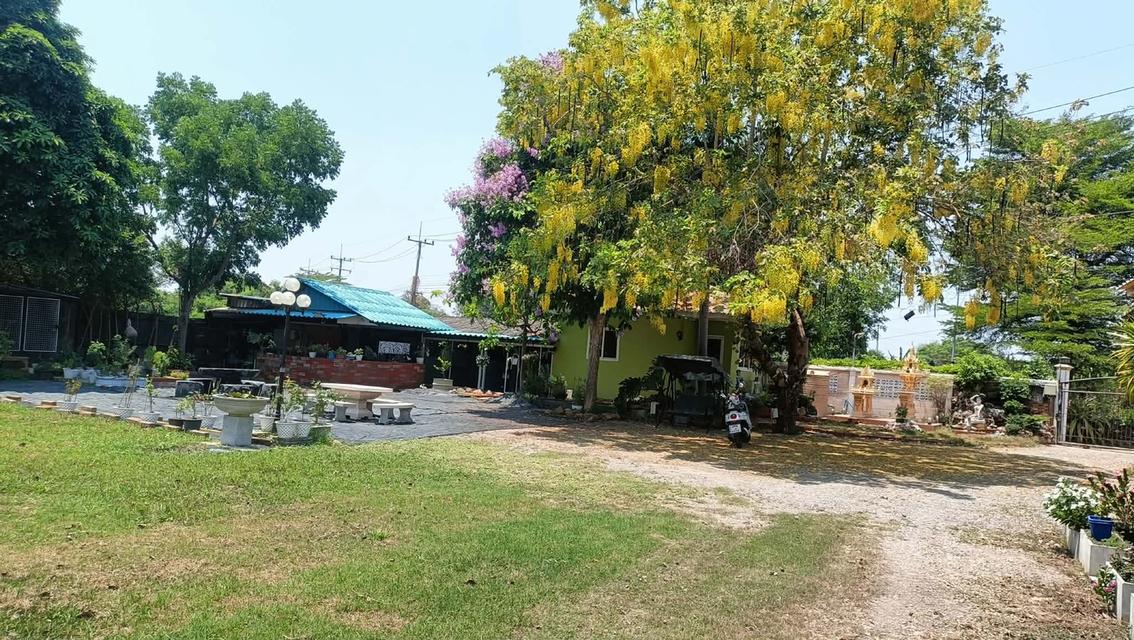 บ้านพร้อมที่ดิน อ.บ้านโป่ง จ.ราชบุรี 13