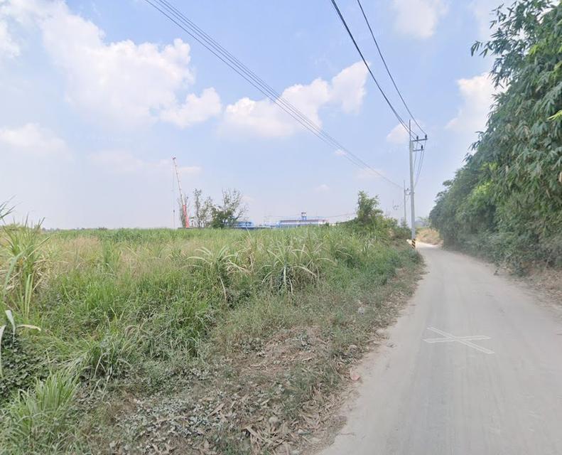 ขายที่ดินหนองหงษ์ พานทอง 8 ไร่ ติดถนนคอนกรีต ใกล้ถนนเส้นชบ.3023-2กม. จ.ชลบุรี 3