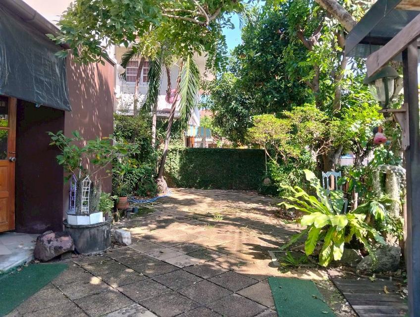 ขายบ้านเดี่ยว 2 ชั้น หลังมุม หมู่บ้านฉัตรหลวง8 เฟส2 สามโคก ปทุมธานี 5