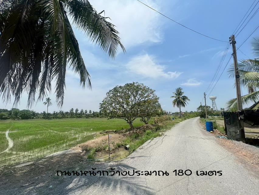 ที่ดินเปล่านครชัยศรี 1