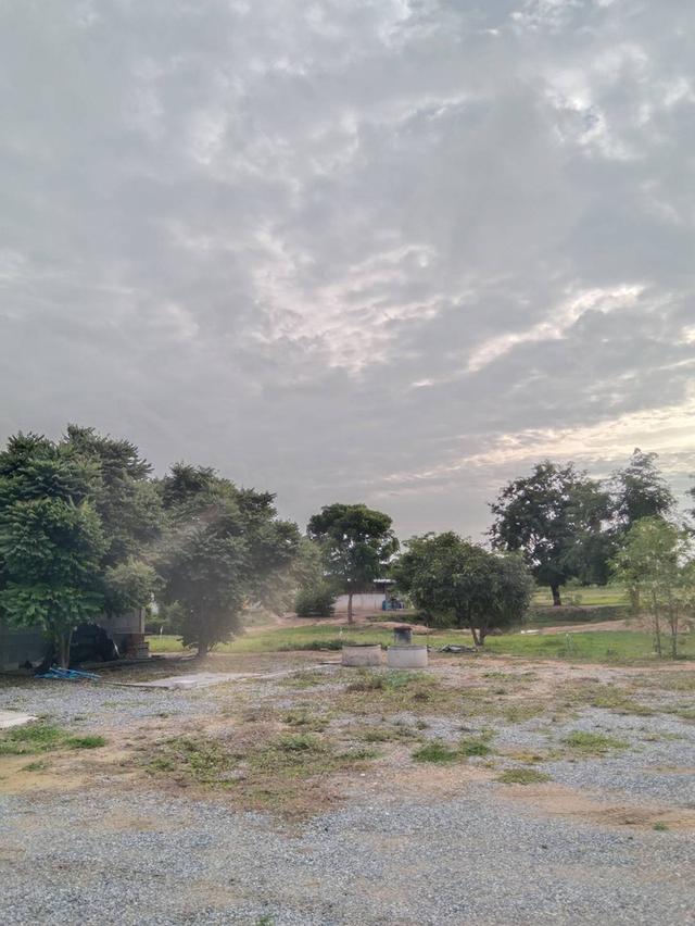 ที่ดินพร้อมจริงปลูกสร้าง 6