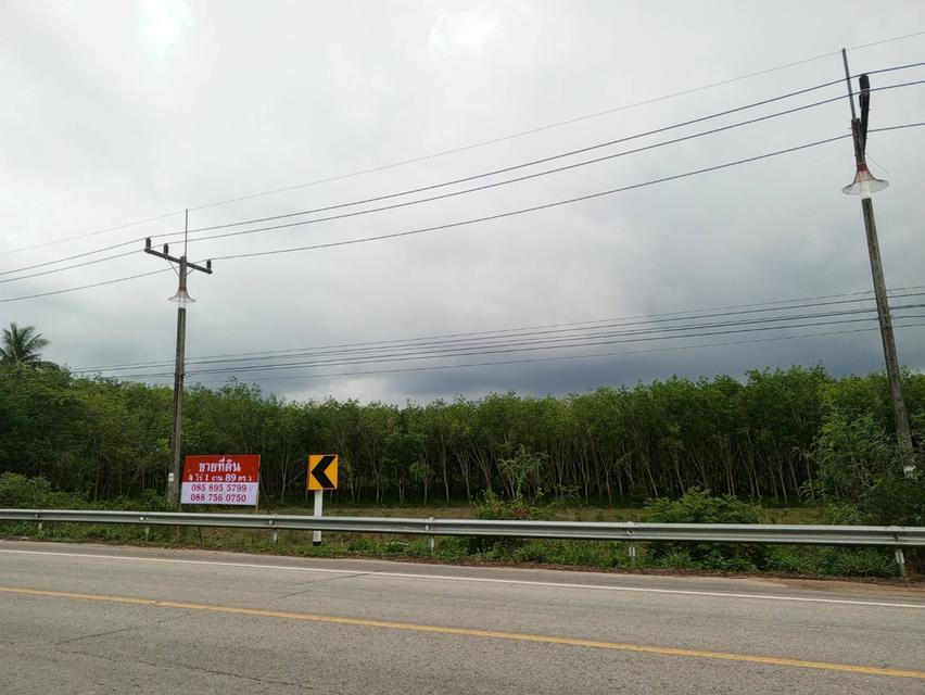 ที่ดินทุ่งหวัง หาดใหญ่ สงขลา 1