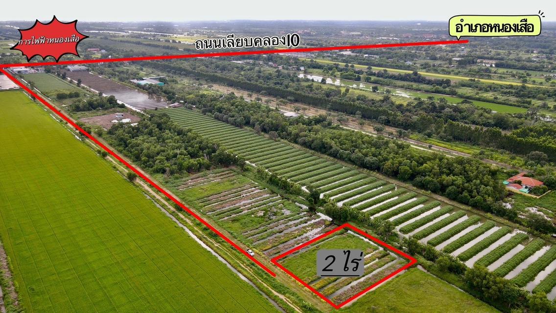 ขายที่ดินบึงบา 2 ไร่(แบ่งขายได้) คลอง10 ซอยการไฟฟ้าหนองเสือ จ.ปทุมธานี 6