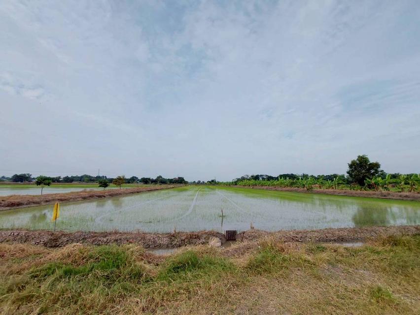 ขายที่ดินเปล่า ซอยเพิ่มสุข 2 ตำบลคลองควาย อำเภอสามโคก จังหวัดปทุมธานี 3