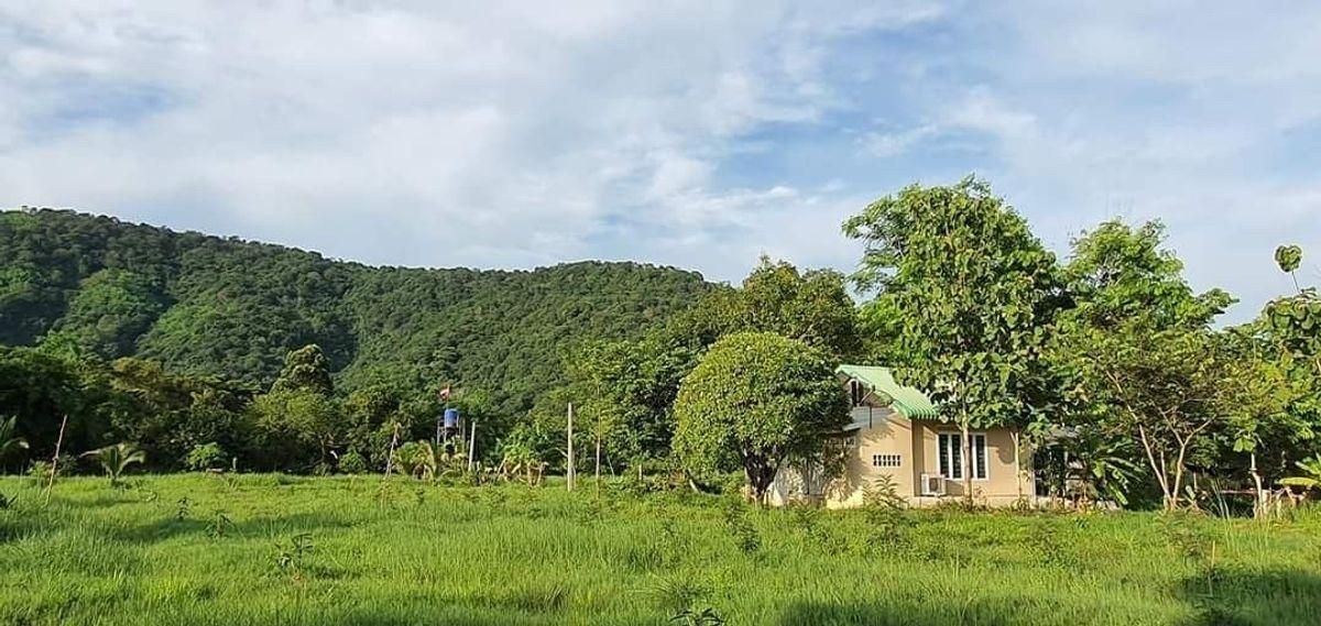ขายที่ดินปราจีนบุรี 26 ไร่ 2 งาน 92 ตร.ว. ใกล้ทางขึ้นเขาใหญ่ ใกล้น้ำตกวังตะแคง วิวเขาอีโต้ ตำบลเนินหอม 1
