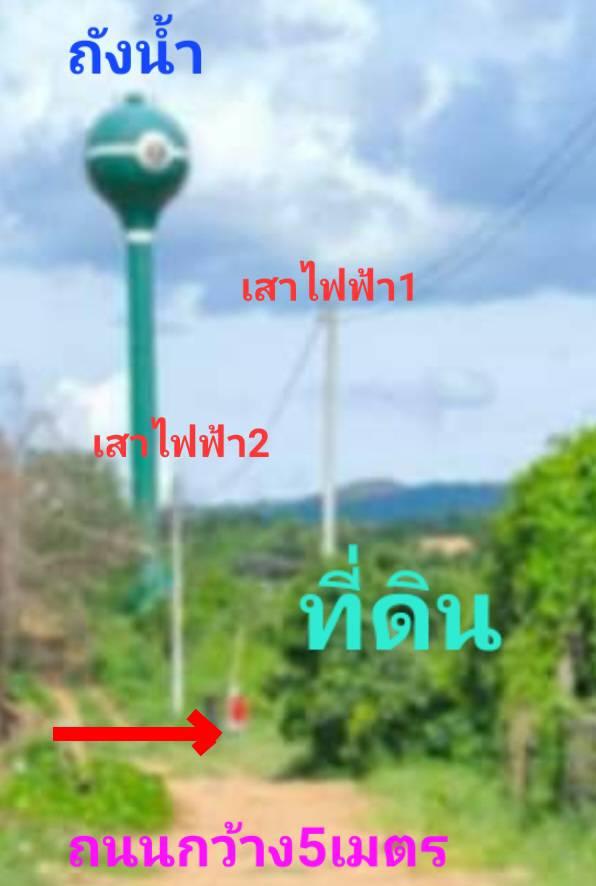 🏡ขายที่ดินสวนลำไย วิวหลักล้านราคาหลักแสน*ผ่อนได้เพียงหลักพันเท่านั้น 6
