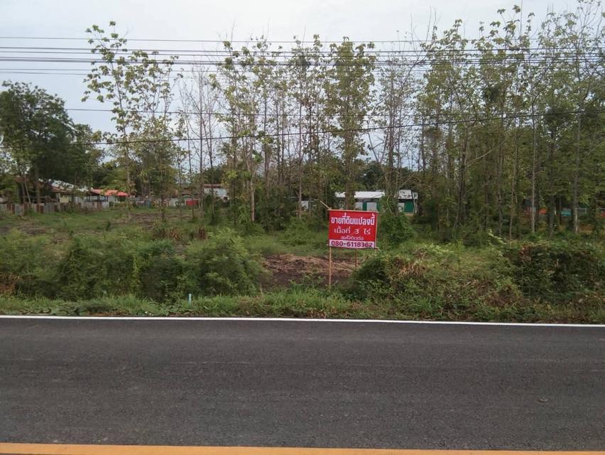 ที่ดินลพบุรี โฉนดเนื้อที่ 3 ไร่ 2
