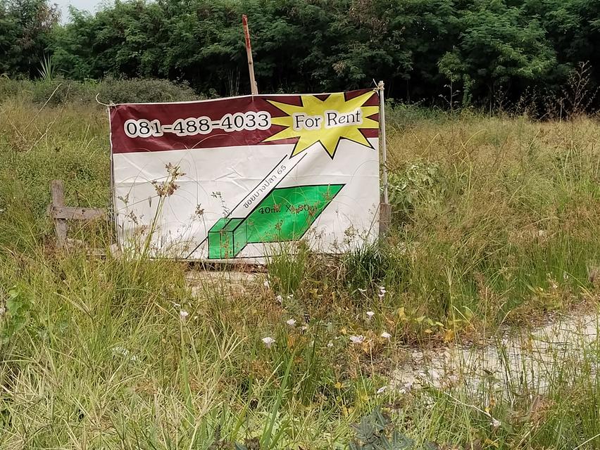 ที่ดินถมแล้วติดถนนคอนกรีตกว้าง20เมตรถนนเทพารัก อ.บางพลี ต.สมุทรปราการ 2ไร่เศษ ราคาถูก  สร้างอพาสเม้นท์ หรือ hotel  ใกล้สนามบิน 1