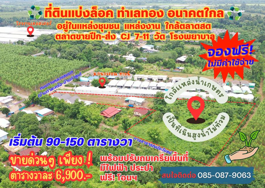 ที่ดินเปล่า 3