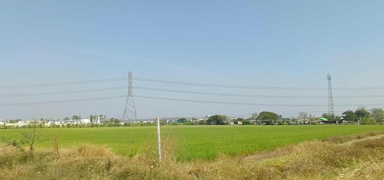 ขายที่ดินเขตปทุมฯ(Land for sale) 4