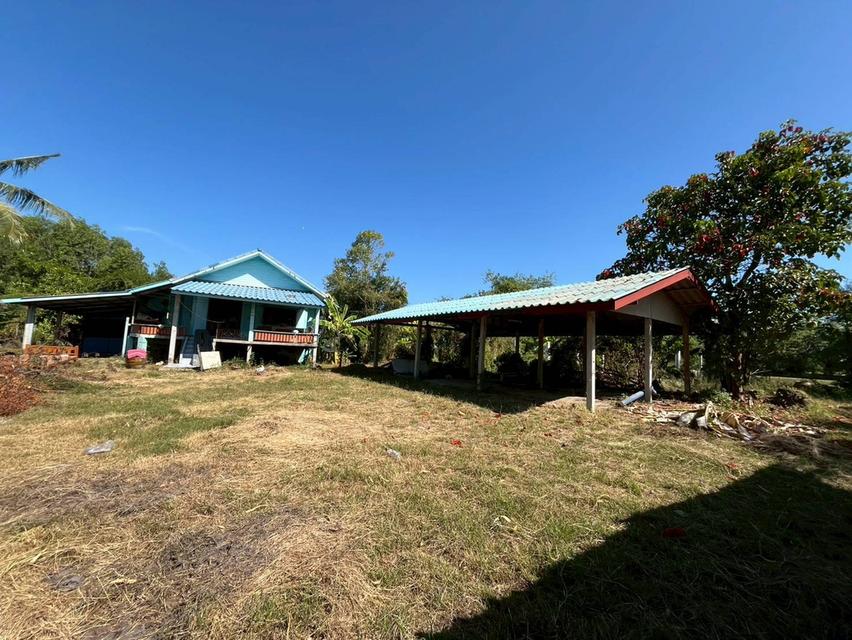 ขายบ้านพร้อมที่ดิน หมู่บ้านท่าคลายแห ใกล้วัดใหม่บำเพ็ญผล 6