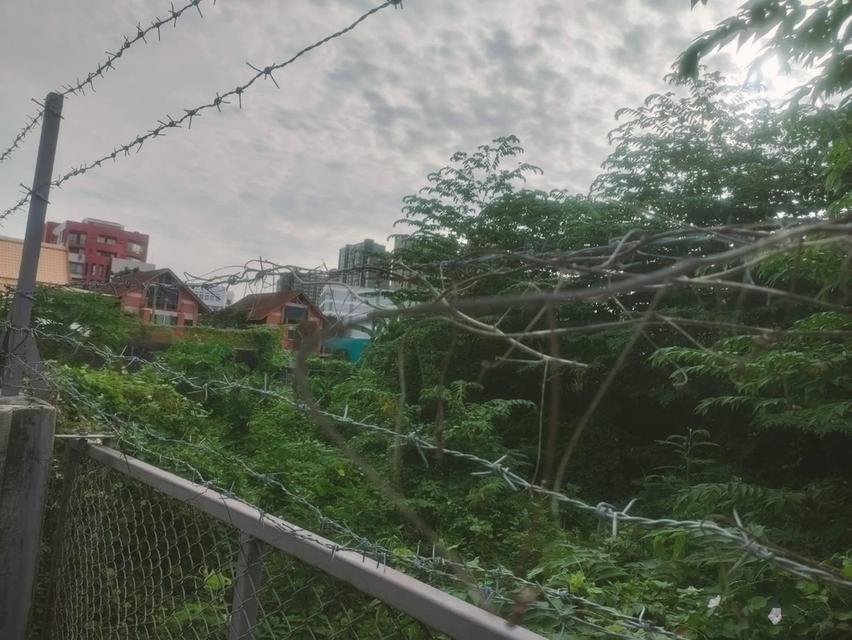 ที่ดินทำเลทอง ราคาดี ซอยอินทามระ 7 3