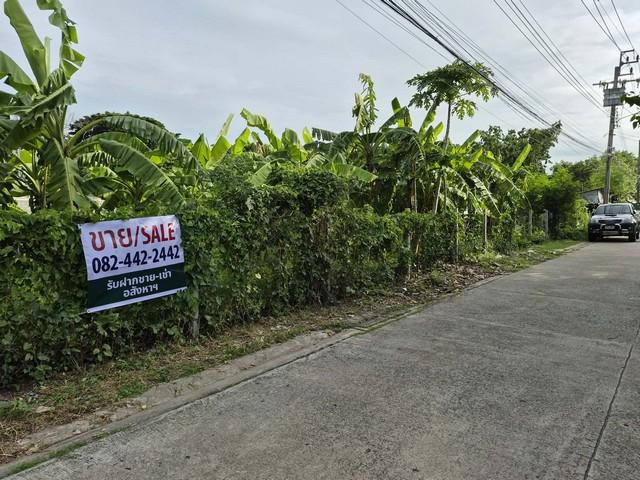 ขาย ที่ดินถมแล้ว 1 ไร่ ใกล้สวนหลวง ร. 9, ห้างพาราไดซ์, รถไฟฟ้า, รพ.สินแพทย์ เพียง 3-5 นาที ราคาดีที่สุดในย่านนี้ !! 4
