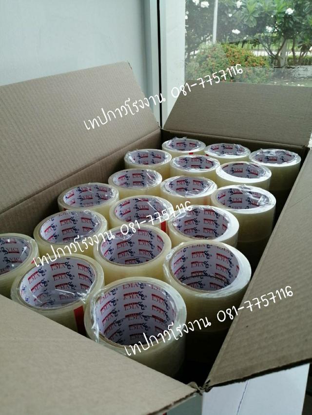 เทปใส 081-7757116 4