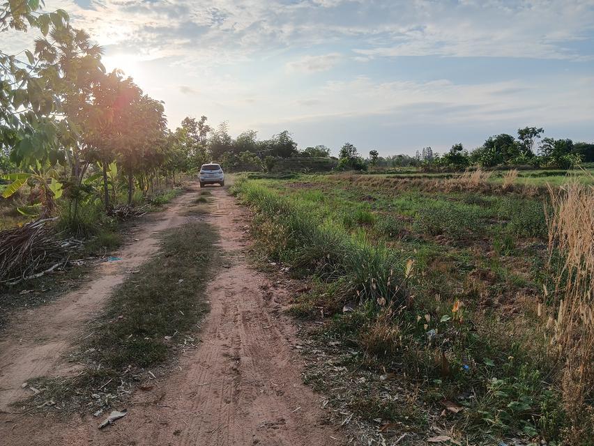 ขายด่วนที่ดินเปล่า21ไร่ ราคา3.9ล้าน ทำเลดีสวยบรรยากาศดีเหมาะทำฟาร์มรีสอร์ท อ.บ้านแท่น จ.ชัยภูมิ สนใจ0844255956 4