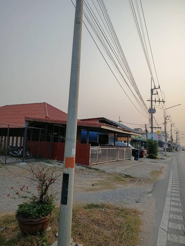 ที่พร้อมสิ่งปลูกสร้าง 3