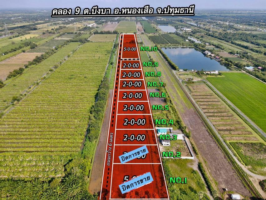 เปิดขายที่ดินคลอง 9 หนองเสือ ปทุมธานี ราคาเริ่มต้นไม่ถึงล้านต่อไร่ 1