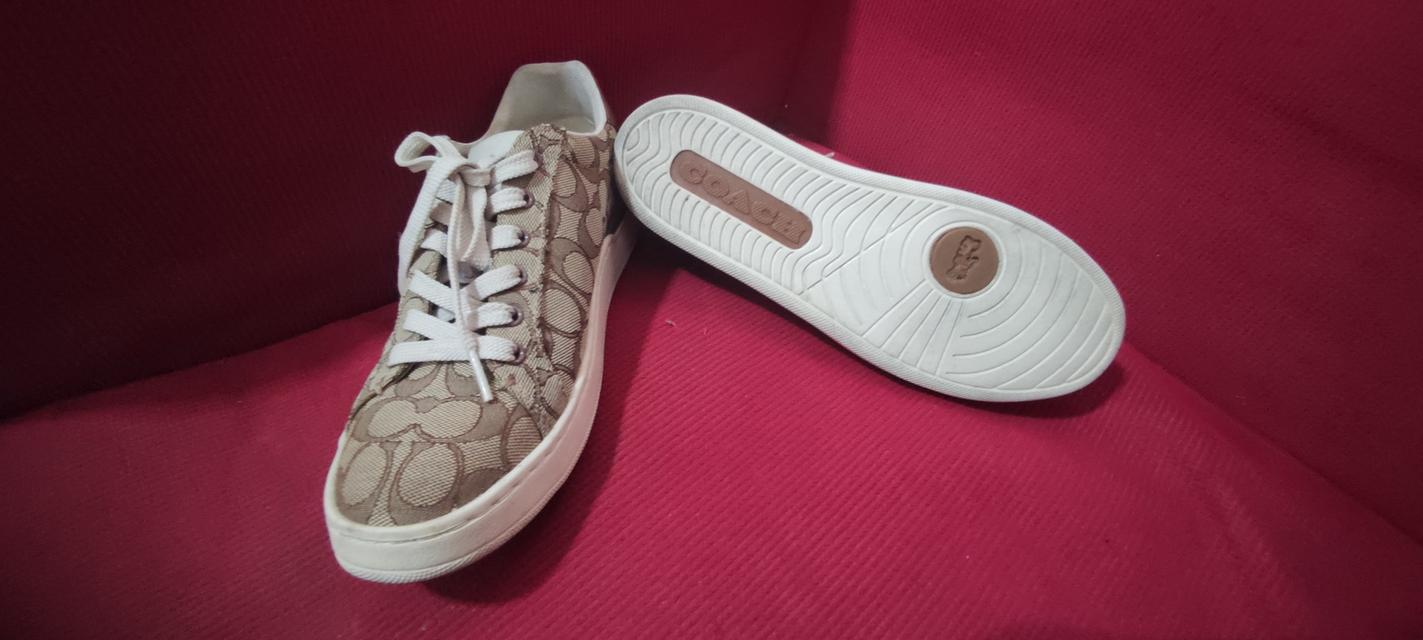 รองเท้าผ้าใบ Coach รุ่น High Line Sneaker In Signature Canvas สีเบจ รูปที่ 3