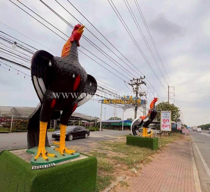 ที่ดิน คลอง14 ถนนรังสิต-นครนายก ใกล้ มศว. อ.องครักษ์ จ.นครนายก 15