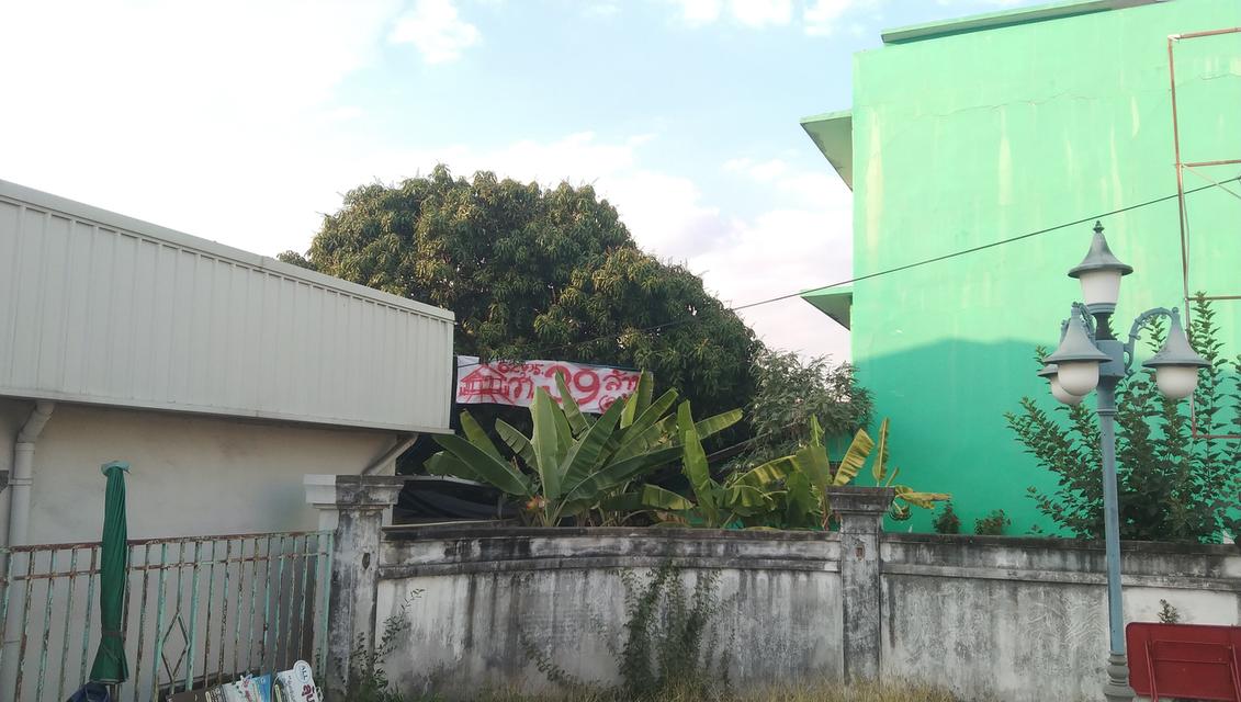 บ้านเดี่ยว 62ตร.วาหมู่บ้านไม้งาม2ภนนแสนสุขตำบลแสนสุขอำเภอเมืองจังหวีเชลบุาี 14