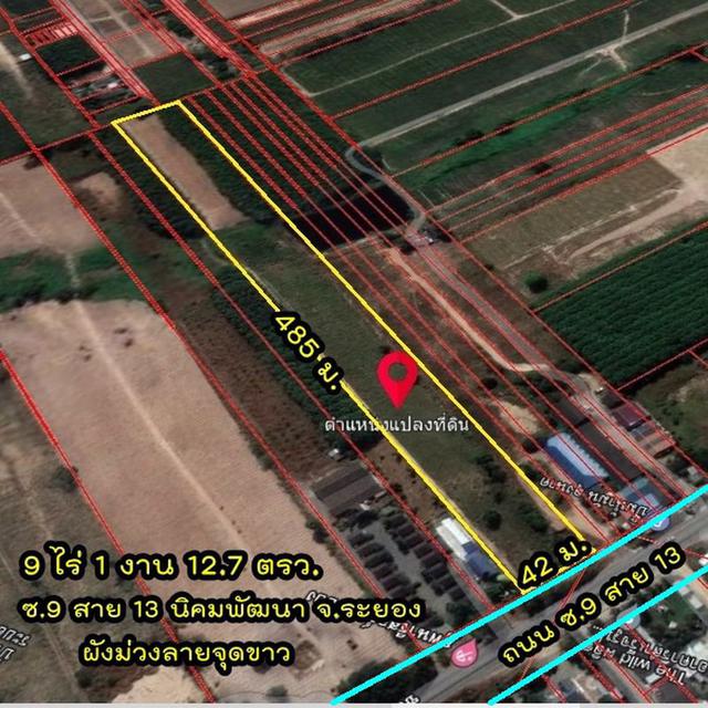 ขายที่ดินนิคมพัฒนา จ.ระยอง (ซ.9 สาย13) ใกล้นิคมWHA36 5