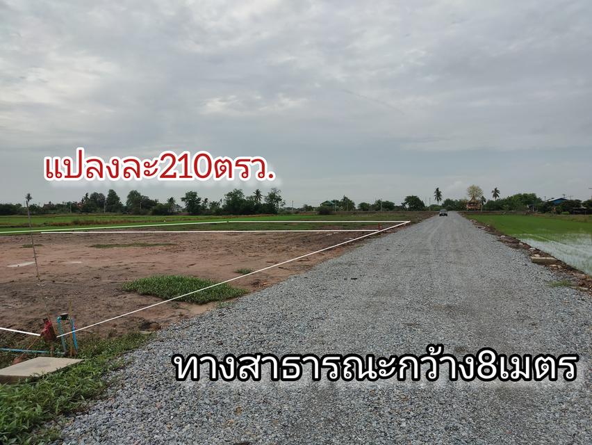 ขายที่ดิน2งาน10ตรว.ถมแล้ว ใกล้ม.สวนดุสิตสุพรรณบุรี อำเภอเมืองสุพรรณบุรี 4