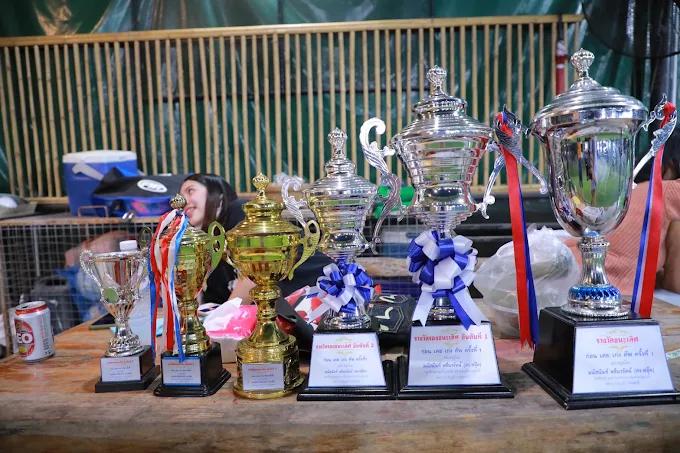 ขายสนามฟุตบอลหญ้าจริงl สนามฟุตบอลเมเนตเจอร์ซ้อคเกอร์ฟิว ตำบลคลองหก คลองหกตะวันตกซอย 11 อำภอคลองหลวง มีลูกค้าประจำ สนใจ โทร 085 1536632 หรือ 0817144948 2