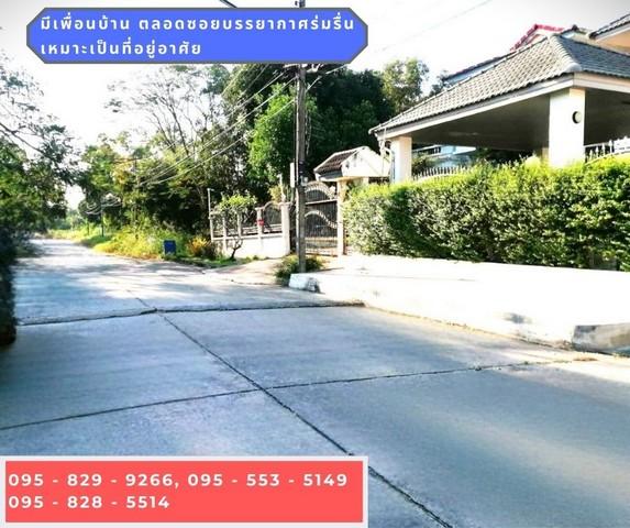 ขายถูกที่ดินเท่าราคาประเมิน ถมสูงกว่าถนน 50 ซม. 98 วา ถนนกว้าง 10 ม. ซ.เอกรัตน์1 ใกล้ตลาดสัมมากรและ ม.รังสิต อ. เมือง ต. 4