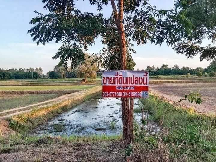 ขายด่วน!! ที่ดิน 7ไร่ 7ตรว. บ้านเหล่าใหญ่ ต.นาข่า อ.มัญจาคีรี จ.ขอนแก่น ราคา700,000 ติดลำห้วย มีบ่อน้ำฟรีโอน สนใจ☎️0818540231 2