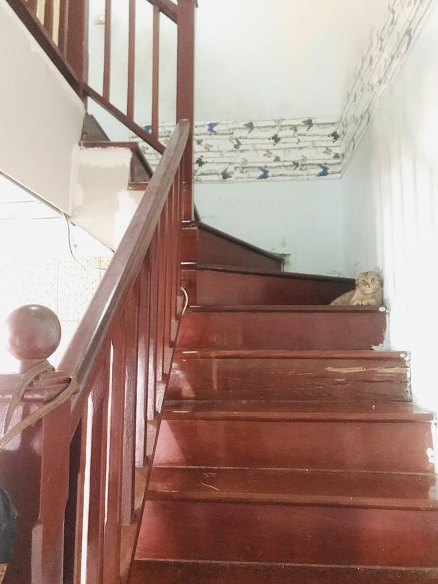 ขายทาวน์โฮม (37.30 ตารางวา) เหมาะค้าขาย + อยู่อาศัย - ใกล้เมกาบางนา - The Connect 2 บางนา กม.10-สุวรรณภูมิ 12