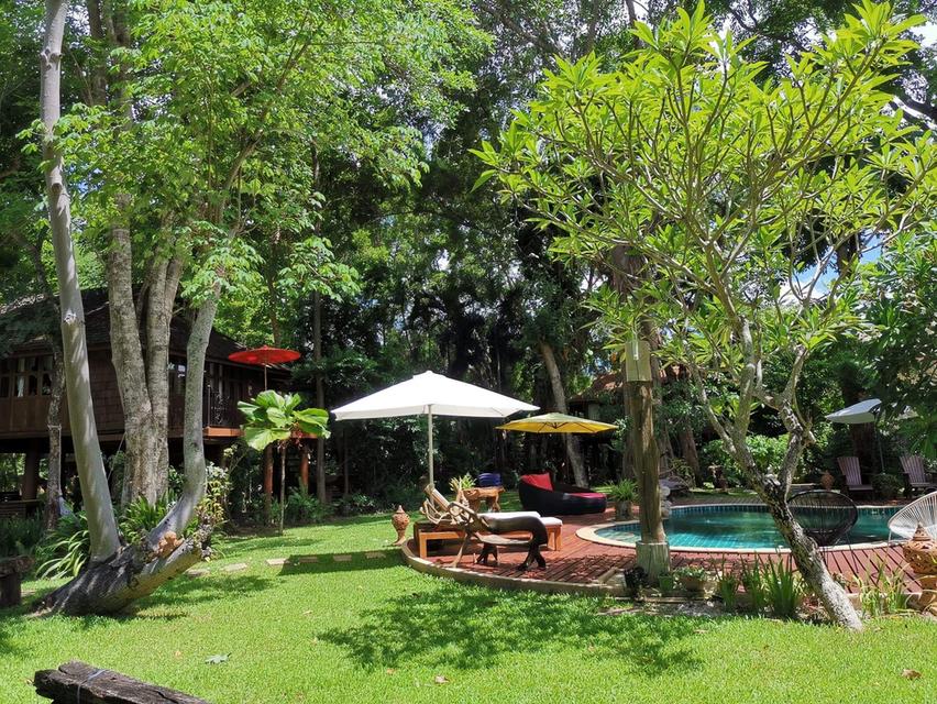 ขายรีสอร์ทติดน้ำปิง ราคา 180 ล้าน 3-2-67 ตรว(อำเภอเมืองเชียงใหม่) 1