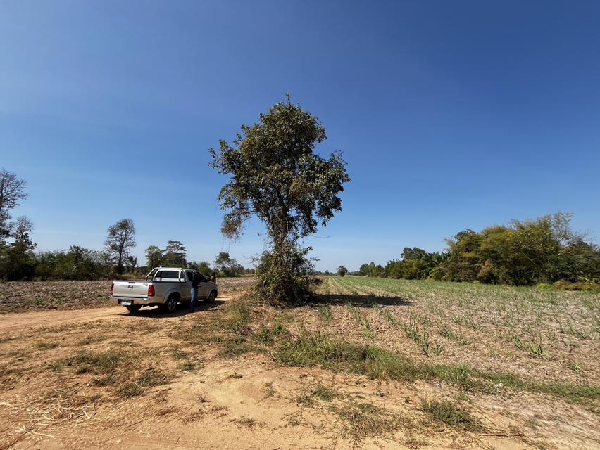 ขายที่ดินสำหรับทำการเกษตร ในเขตอำเภอเมือง ขอนแก่น 4