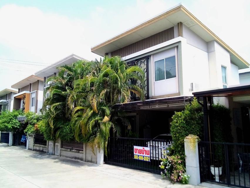 ขายด่วน! บ้านแฝดสไตล์บ้านเดี่ยว ผนังอิสระ โครงการโกลเด้น นีโอ ชัยพฤกษ์ ติดถนนใหญ่ 1