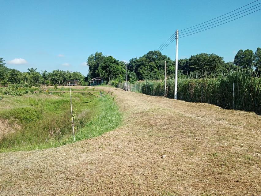 ขายที่ดิน 1