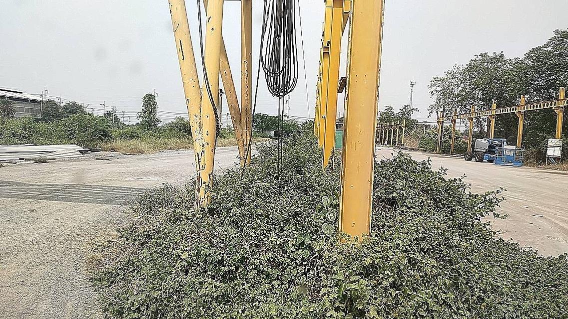 ให้เช่าที่ดิน4ไร่ติดถนน 3111 ตำบลบางไทรอำเภอบางไทรจังหวัดพระนครศรีอยุธยามอบทำค้าขายโกดังโรงงานมีไฟ 3 เฟสรถเทเลอร์เข้าได้สนใจโทร 089-766-8362 2