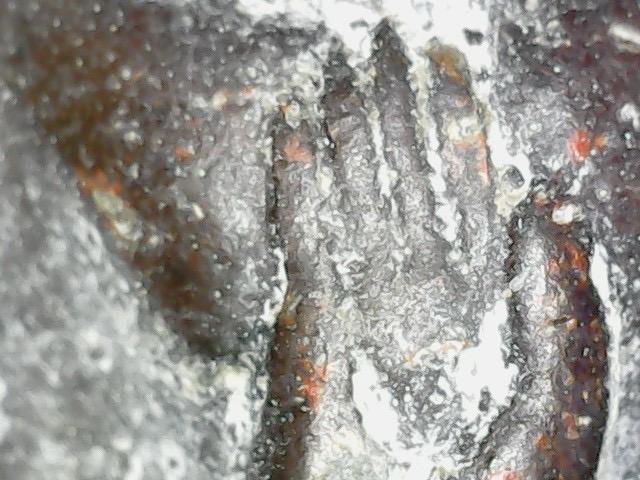 พระเครื่อง ชุดเบญจภาคี 3