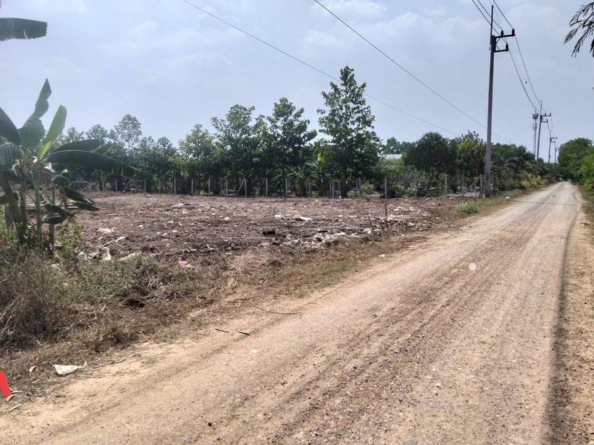 ที่ดินสวยถมแล้ว1ไร่ ใกล้ทางด่วน3.99ล้าน 3