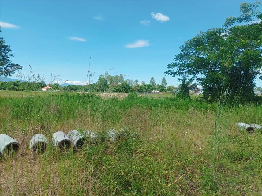 ขายที่ดิน ราคา3,980/ตร.ว. ต.สำราญราษฎร์ อ.ดอยสะเก็ด จ.เชียงใหม่ 3