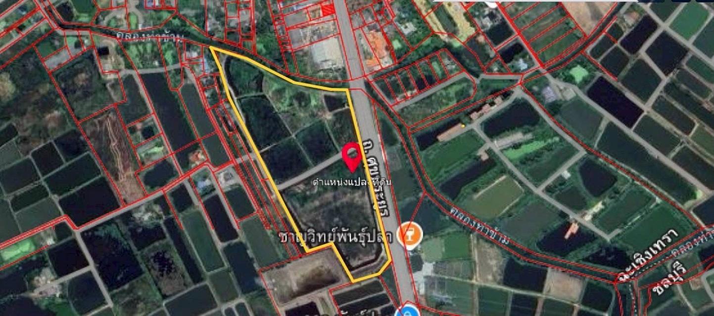 ขายที่ดินบ้านโพธิ์ เนื้อที่ 55-3-36 ไร่ ถนนศุขประยูร ตำบลหนองตีนนก อำเภอบ้านโพธิ์ จังหวัดฉะเชิงเทรา 9