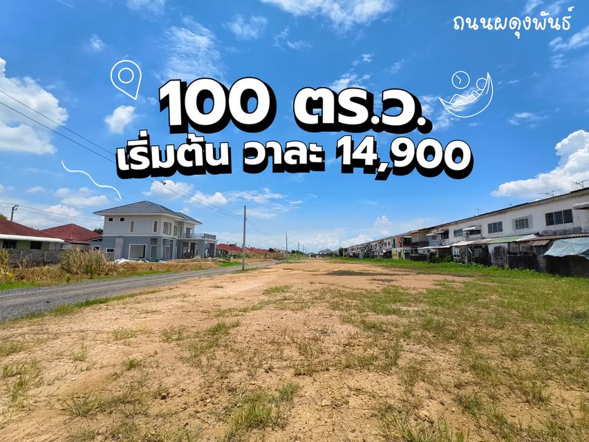 ที่ดิน 100 ตารางวาหนองจอกกรุงเทพ 1