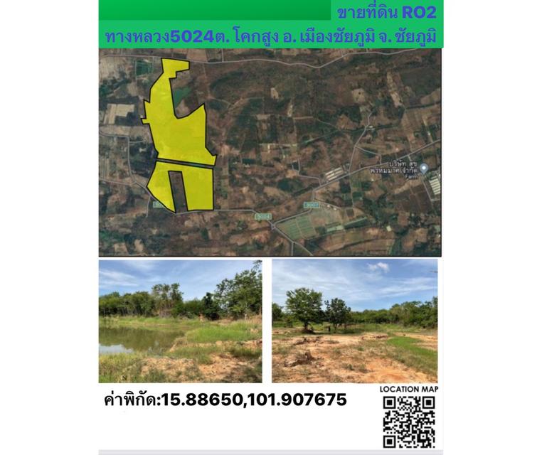 ขายที่ดินเกษตรแปลงใหญ่ใกล้ศาลจ.ชัยภูมิ 2