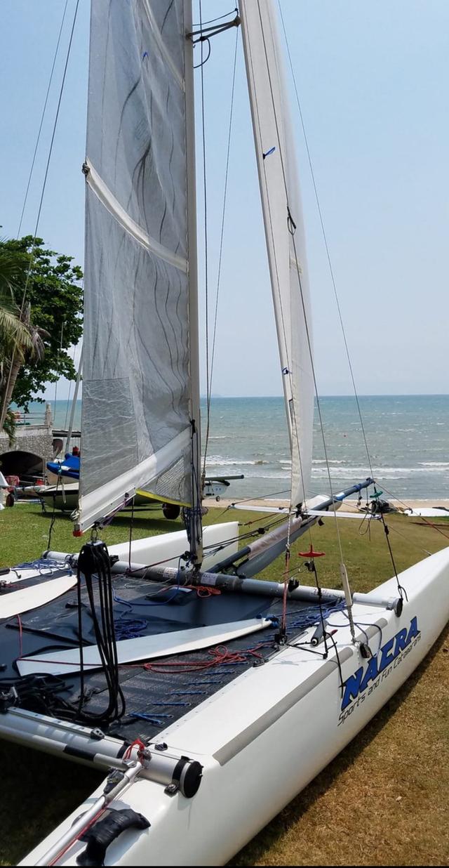 ขายเรือใบแข่ง Beach Catamaran 4